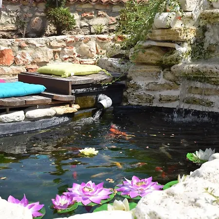 Villa Villa Rosa Dei Venti Heated Salty Pool And Jacuzzi