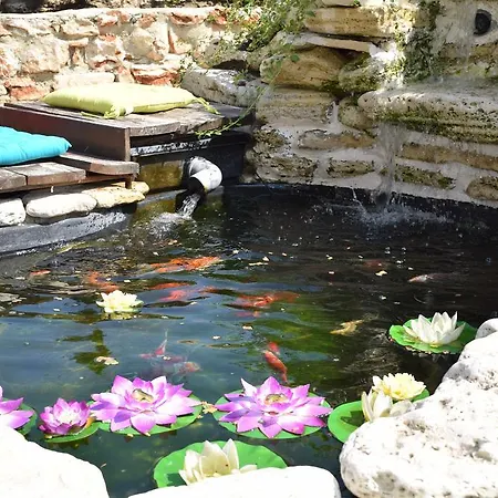 Villa Rosa Dei Venti Heated Salty Pool And Jacuzzi Baltschik
