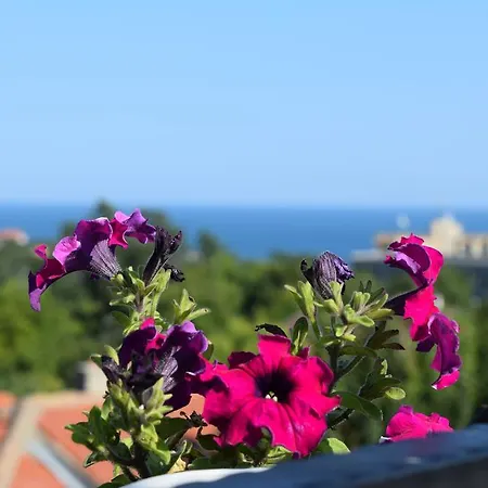 Villa Rosa Dei Venti Heated Salty Pool And Jacuzzi