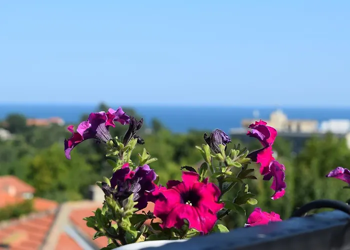 Boutique Rosa Dei Venti